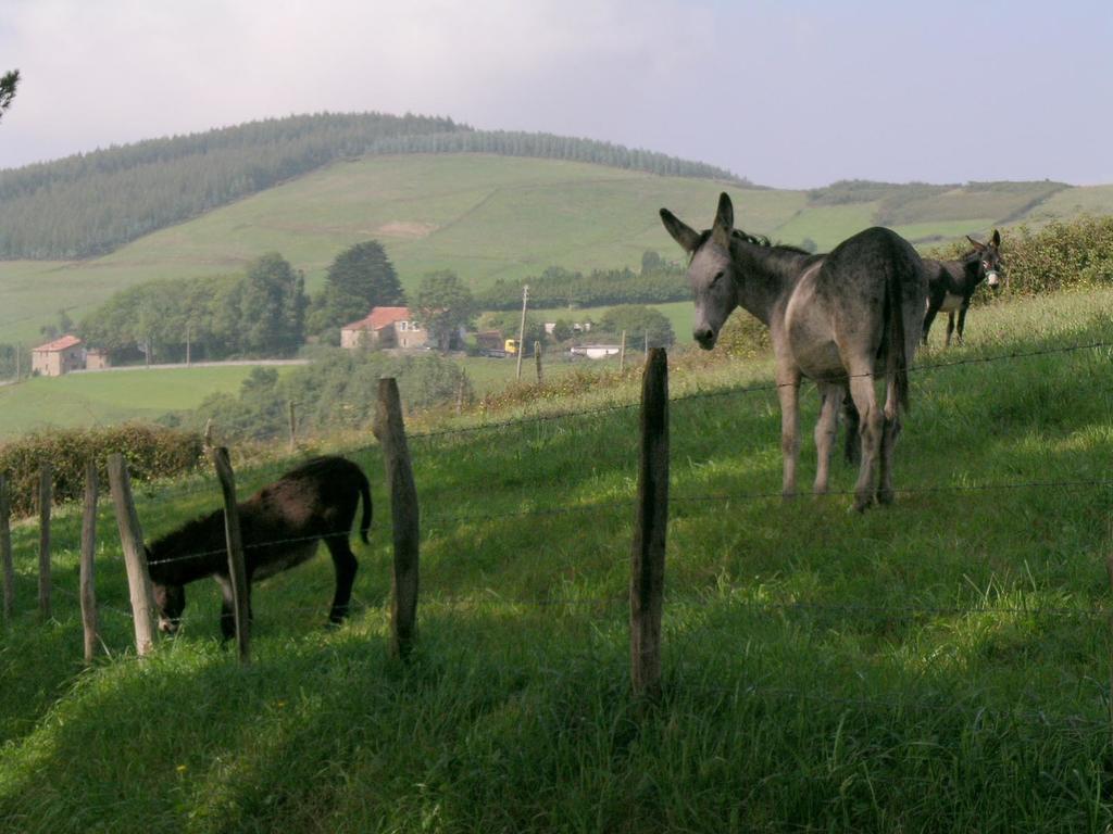 Agroturismo Kasa Barri Bermeo Kültér fotó